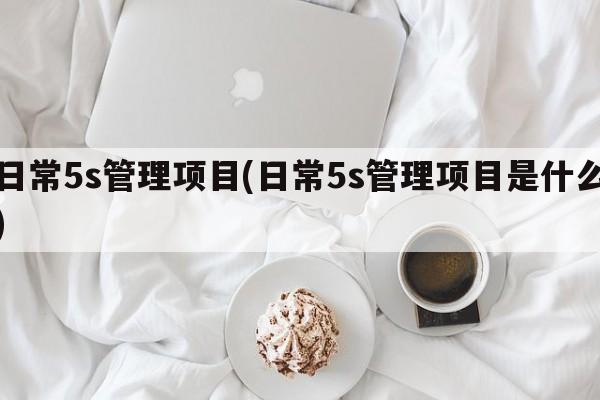 日常5s管理项目(日常5s管理项目是什么)