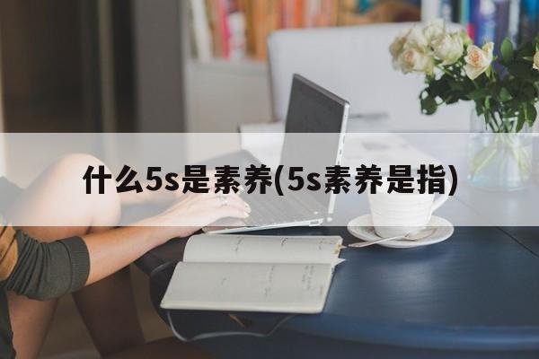 什么5s是素养(5s素养是指)